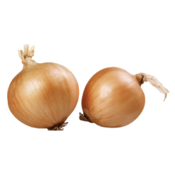 Sibul, valge, koorimata